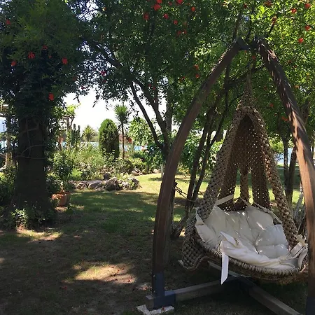 Asur & Aparts & Otel