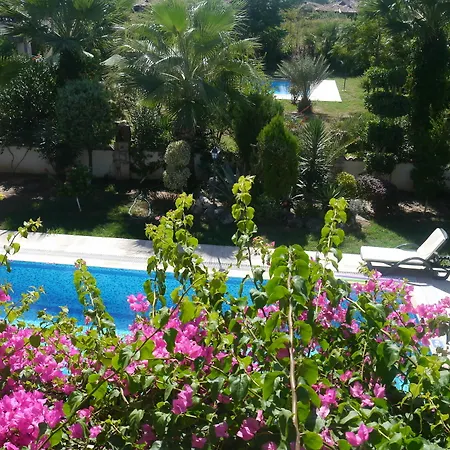 Asur & Aparts & Otel