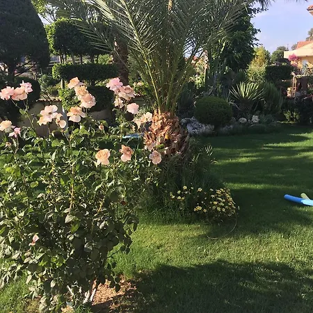 Hotel Asur & Aparts &
